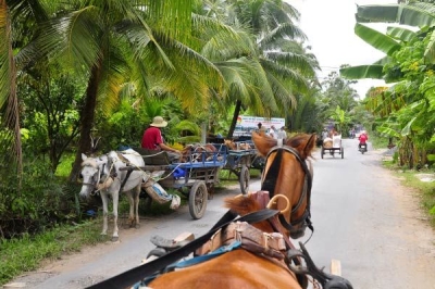 Tour Mekong 1 ngày